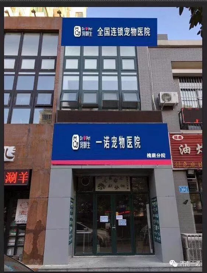 如何在家为宁波宠物猫营造一个舒适的环境？