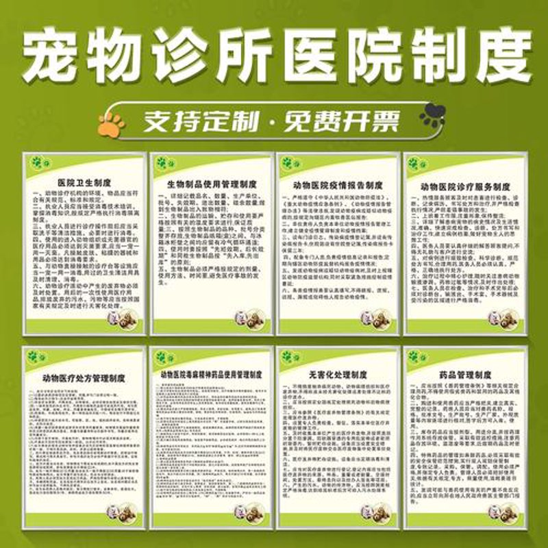 宁波宠物猫护理小贴士：让你的爱宠更健康