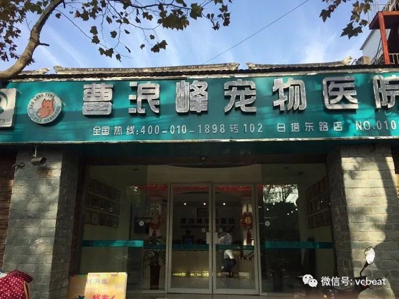 故事的开始，总是那么平凡。在宁波的一隅，有一间小小的宠物医院，名字叫做“喵叔宠物医院”。而这个“喵叔”背后，有着怎样的传奇呢？让我们一起走进这家医院，揭开它的神秘面纱。