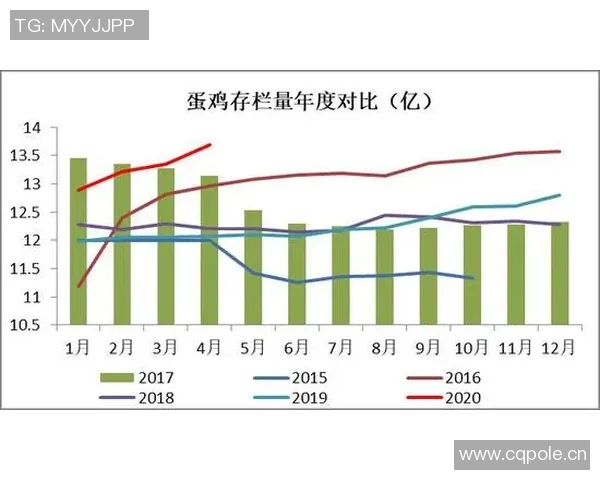数据分析揭示JDG在比赛中的速度表现及其对胜负的影响因素