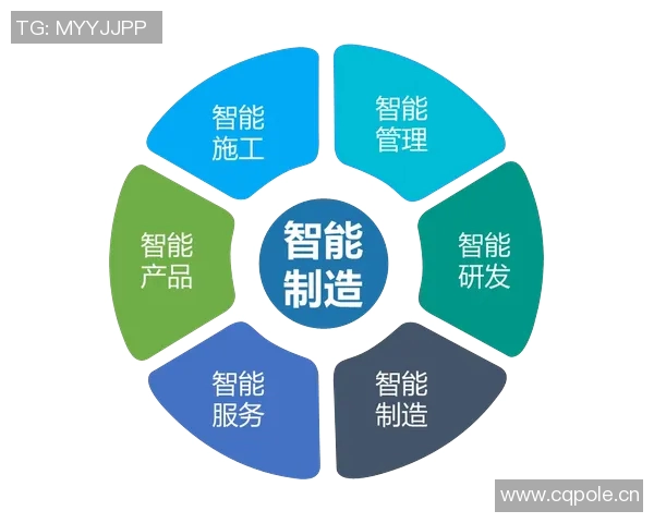 以数字化转型为驱动推动网络基础设施建设与升级提升信息化水平和产业竞争力 以数字化转型为驱动推动网络基础设施建设与升级提升信息化水平和产业竞争力